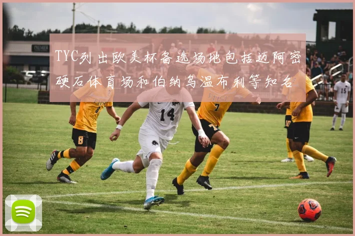 TYC列出欧美杯备选场地包括迈阿密硬石体育场和伯纳乌温布利等知名场馆