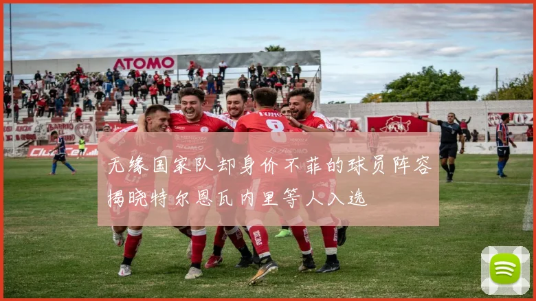 无缘国家队却身价不菲的球员阵容揭晓特尔恩瓦内里等人入选