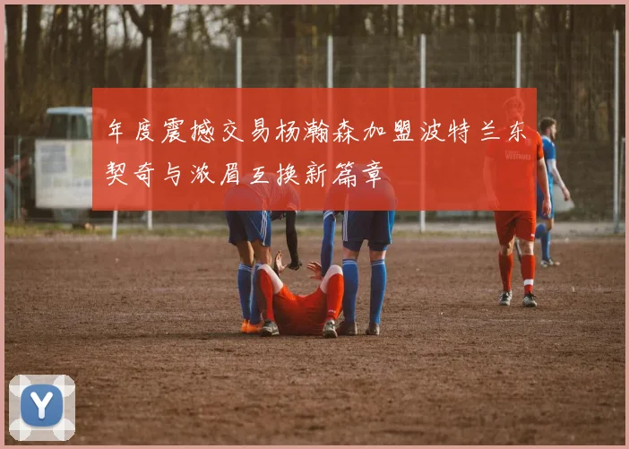 年度震撼交易杨瀚森加盟波特兰东契奇与浓眉互换新篇章