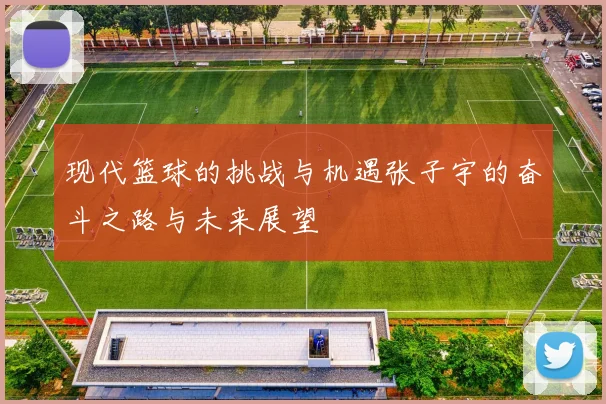 现代篮球的挑战与机遇张子宇的奋斗之路与未来展望