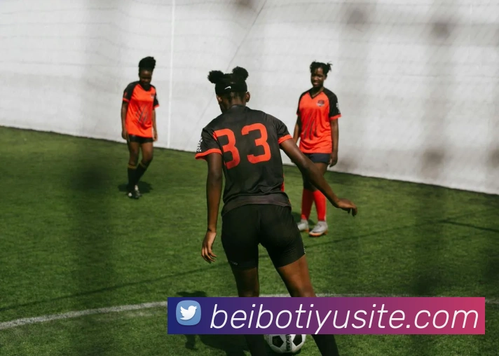 贝博体育APP 封面图